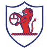 https://img.sdcxf.com/img/football/team/11fb72f7b5eacfc881ee11bac75871fa.png