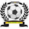 https://img.sdcxf.com/img/football/team/6dc6d59af2f0962597b412473a6708ee.png