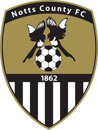 https://img.sdcxf.com/img/football/team/9e230c89a846b9cadf91884918fa7611.png