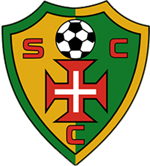 https://img.sdcxf.com/img/football/team/c720ce34a8dbdda00e58a8ade2358911.png